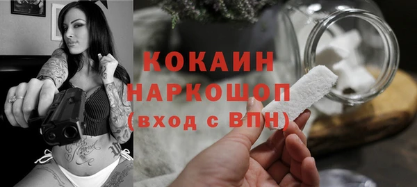 СК Михайлов