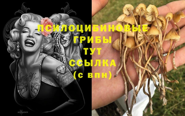 2c-b Михайловка
