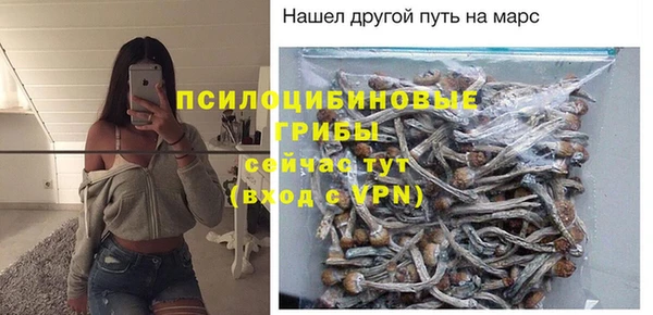 СК Михайлов
