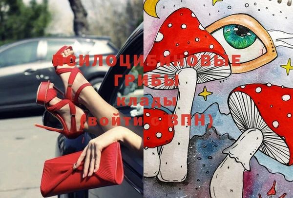СК Михайлов