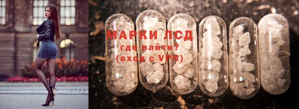 СК Михайлов